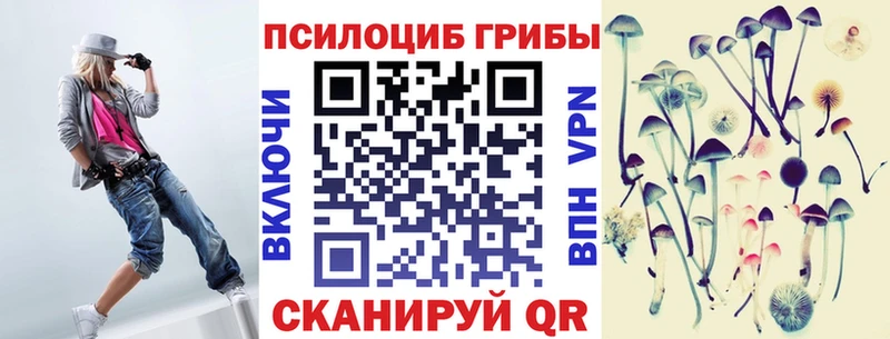 где продают   Шахты  Псилоцибиновые грибы Cubensis 