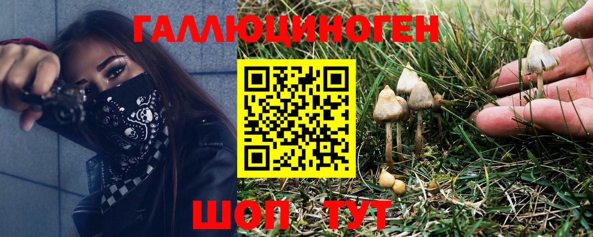 Шахты  Галлюциногенные грибы Cubensis  Галлюциногенные грибы мухоморы  Вход с VPN 