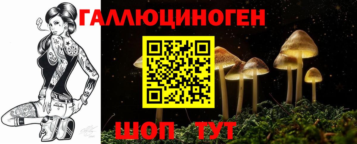 Галлюциногенные грибы мухоморы Шахты
